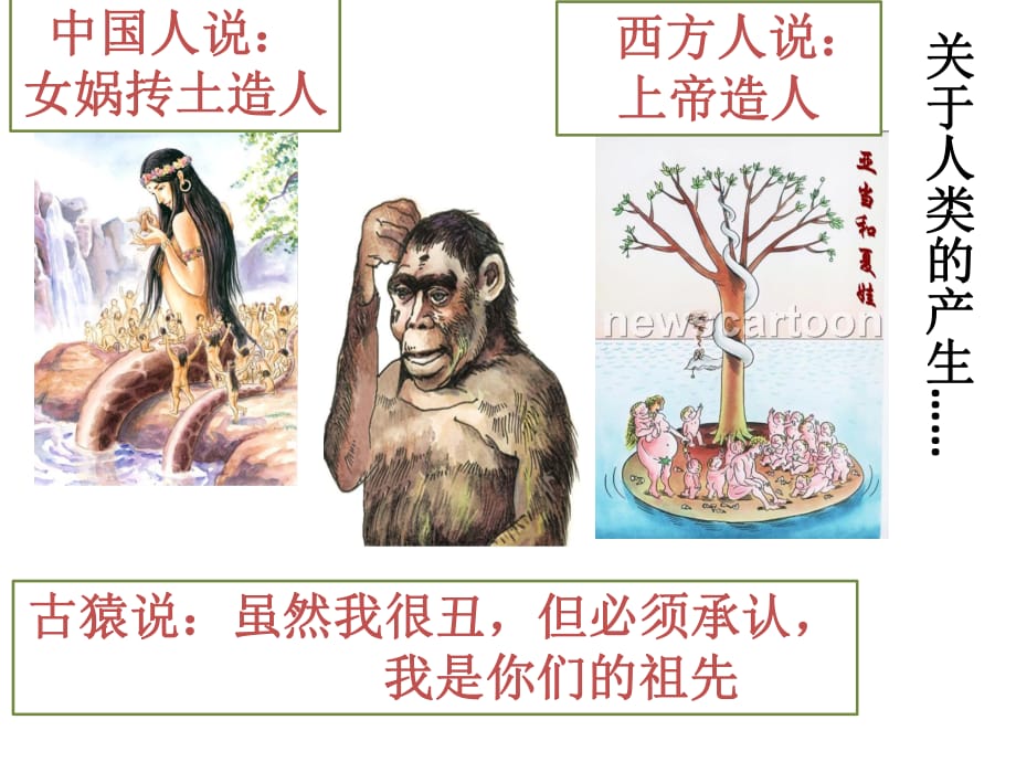 人教版七年級歷史上冊課件第1課中國早期人類的代表——北京人_第1頁