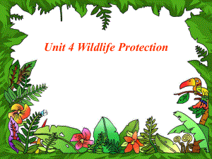 人教版高中英語 必修二 Unit4 《Wildlifeprotection---Reading》