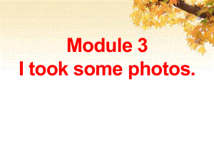 春外研版（一起）六下Module 3 Unit 1《I took some photos》ppt課件