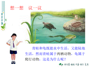 人教版八年級(jí)生物上冊(cè)第1章第5節(jié)兩棲動(dòng)物和爬行動(dòng)物 課件 (共46張PPT)