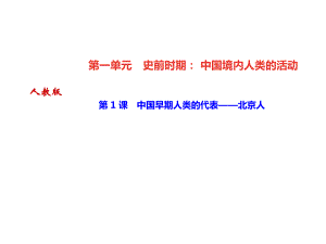 2018年秋人教部編版七年級上冊歷史習(xí)題課件：第 1 課　中國早期人類的代表——北京人(共21張PPT)