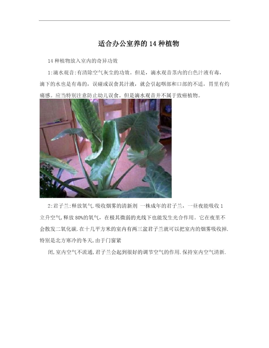 适合办公室养的14种植物_第1页