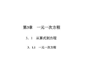 人教版七年級數(shù)學(xué)上冊課件：3.1.1　一元一次方程