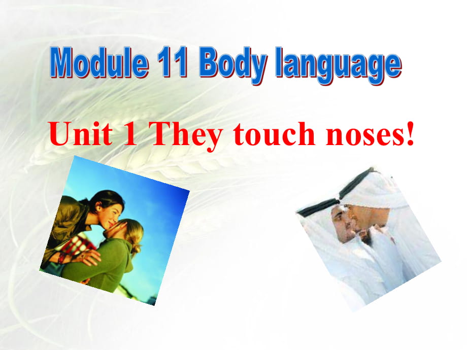 春外研版七下Unit1《They touch noses》ppt課件1_第1頁(yè)