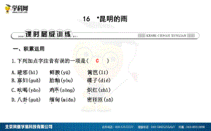 16　昆明的雨