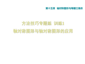 方法技巧專題練1軸對(duì)稱圖形與軸對(duì)稱圖形的應(yīng)用