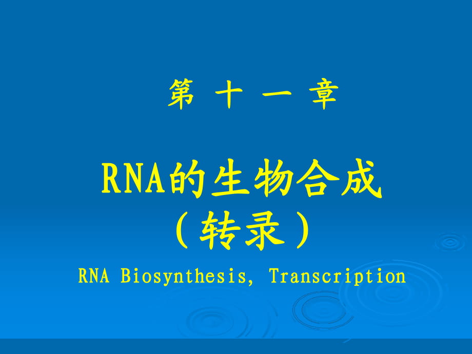 生物化学之RNA的生物合成_第1页