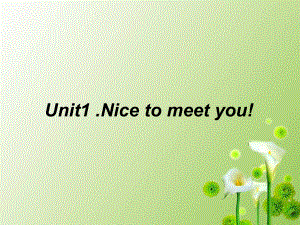 四年級上冊英語課件-Unit 1Nice to meet you1_湘少版