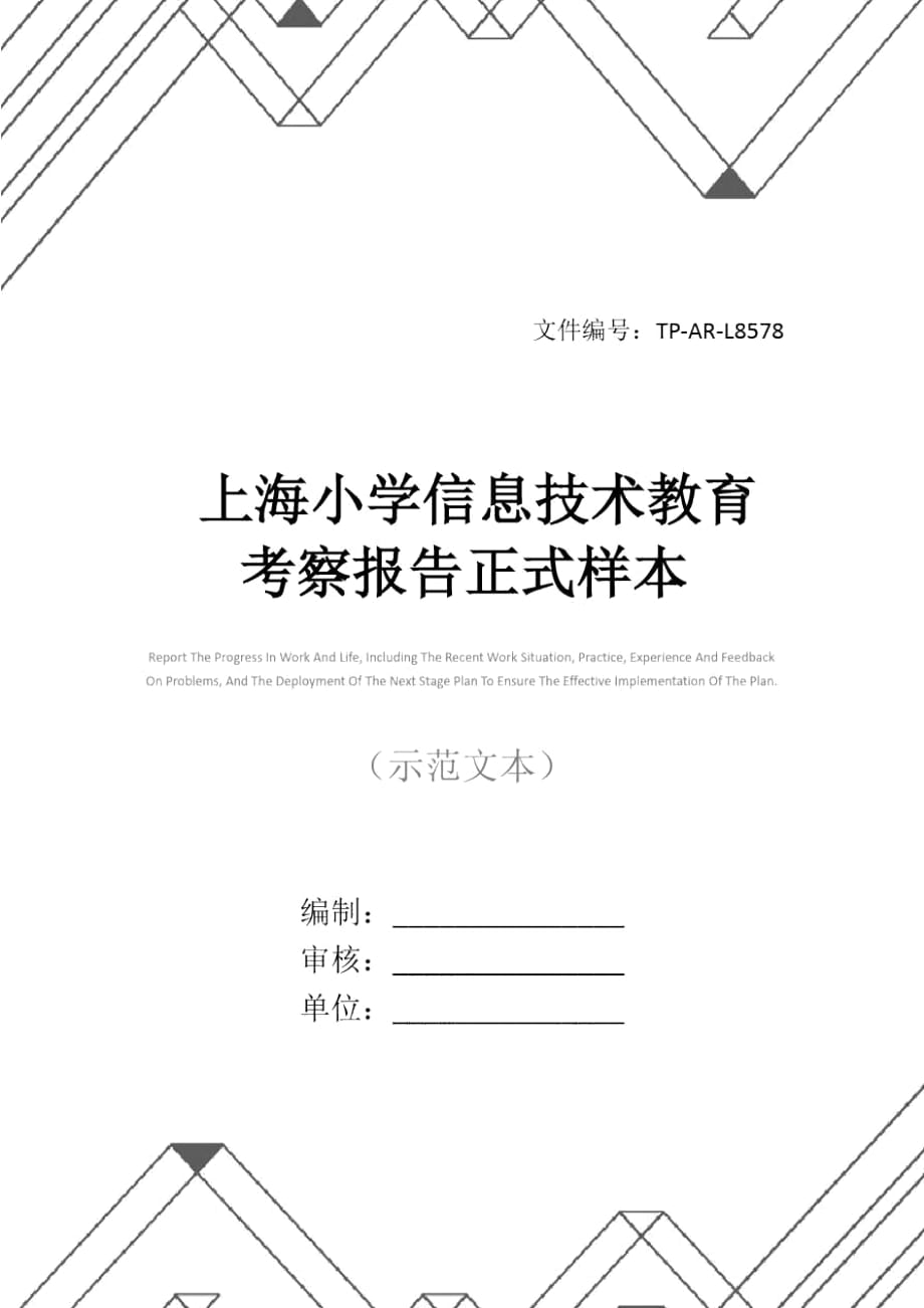 上海小学信息技术教育考察报告正式样本_第1页