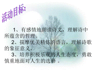 2018秋語(yǔ)文版九年級(jí)語(yǔ)文上冊(cè)課件：4 外國(guó)詩(shī)二首 (共16張PPT)