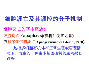 細胞生物學(xué)之細胞凋亡及其調(diào)控的分子機制