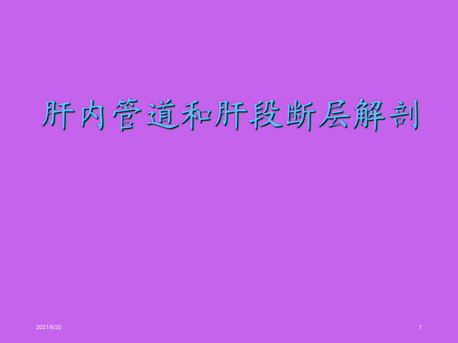 肝内管道和肝段断层解剖 课件_第1页