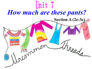 人教版七年級上冊英語－Unit7 how much are these socks Section A (2e-3c)課件 (共17張PPT)