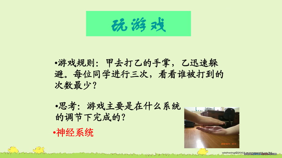 人教版七下4.6.2神经系统的组成课件(共19张PPT)_第1页