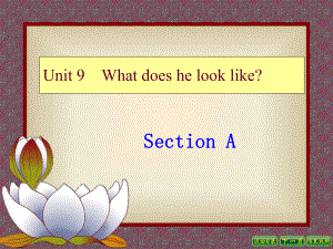 人教版七年級下冊 Unit 9 Section A 1a- Grammar Focus 課件（共46張ppt）