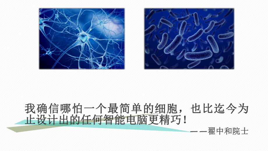 《細(xì)胞膜——系統(tǒng)的邊界》PPT_第1頁(yè)