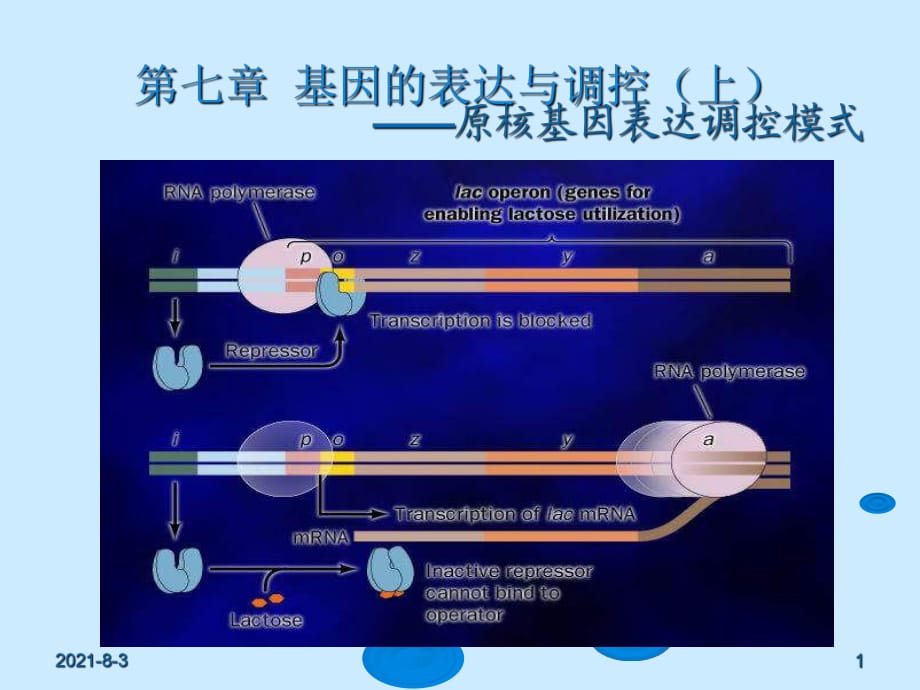 基因工程PPT課件 第七章 基因的表達與調控（上）-原核基因表達調控模式_第1頁