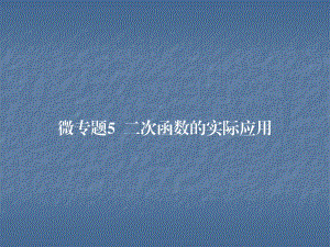 2018年秋人教版九年級數(shù)學(xué)上冊習(xí)題課件：微專題5 二次函數(shù)的實(shí)際應(yīng)用