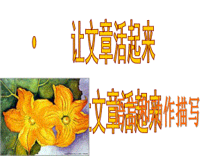 六年級(jí)上冊(cè)語(yǔ)文作文課件-語(yǔ)言動(dòng)作描寫_教科版 (共36張PPT)