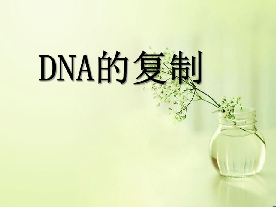 3-3《DNA的復(fù)制》_第1頁