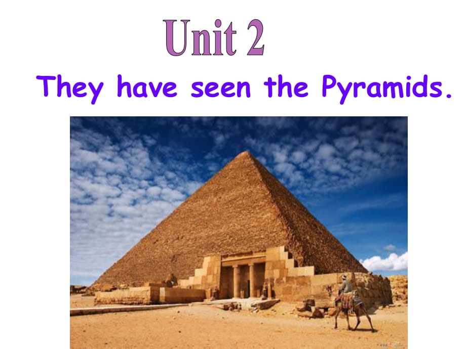 外研新版八下Module2experiencesUnit2They_have_seen_the_Pyramids_第1页