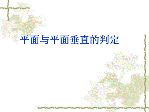 平面與平面垂直的判定 (2)