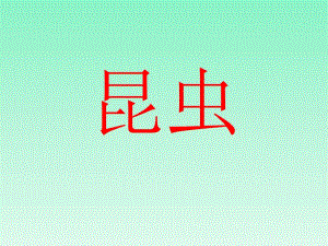 三年級下冊科學(xué)課件- 昆蟲1_湘教版（三起） (共10張PPT)