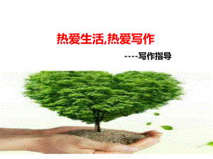 《熱愛(ài)生活熱愛(ài)寫(xiě)作》寫(xiě)作指導(dǎo)2