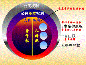 八下第三課第二框《同樣的權(quán)利同樣的愛護(hù)》