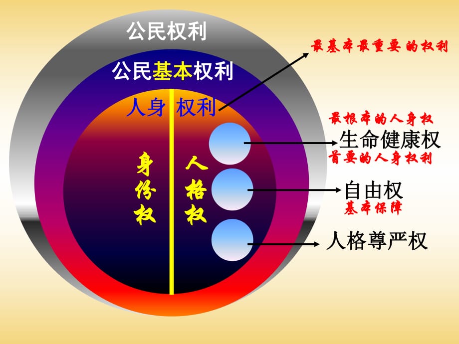 八下第三課第二框《同樣的權(quán)利同樣的愛護(hù)》_第1頁