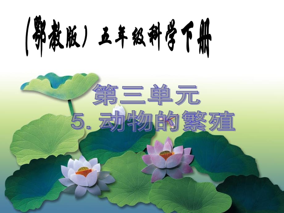 (鄂教版小學(xué)科學(xué)五年級下冊《動物的繁殖》PPT課件_第1頁