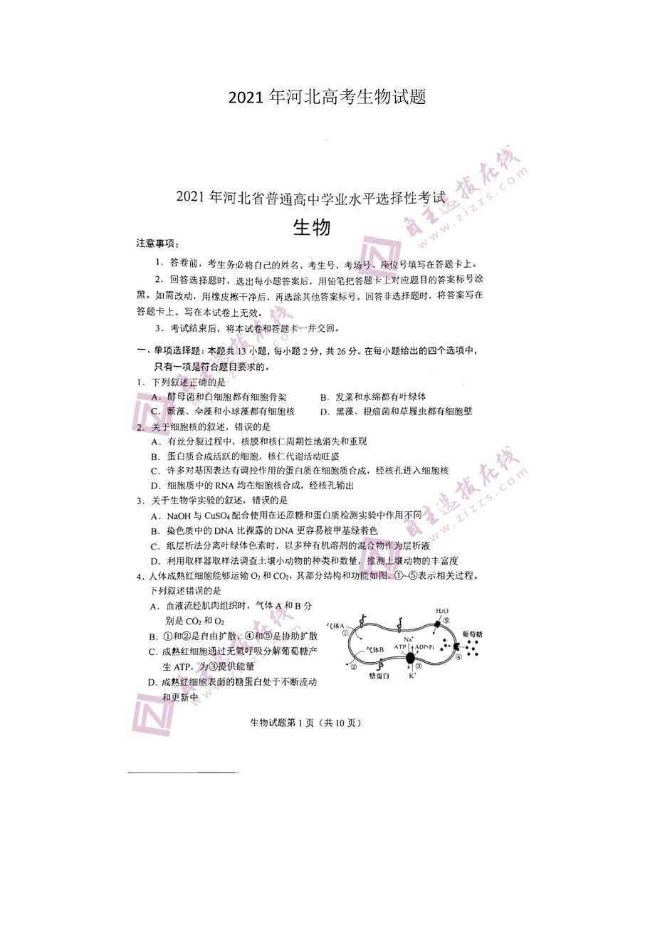 2021年河北高考生物试题含答案_第1页