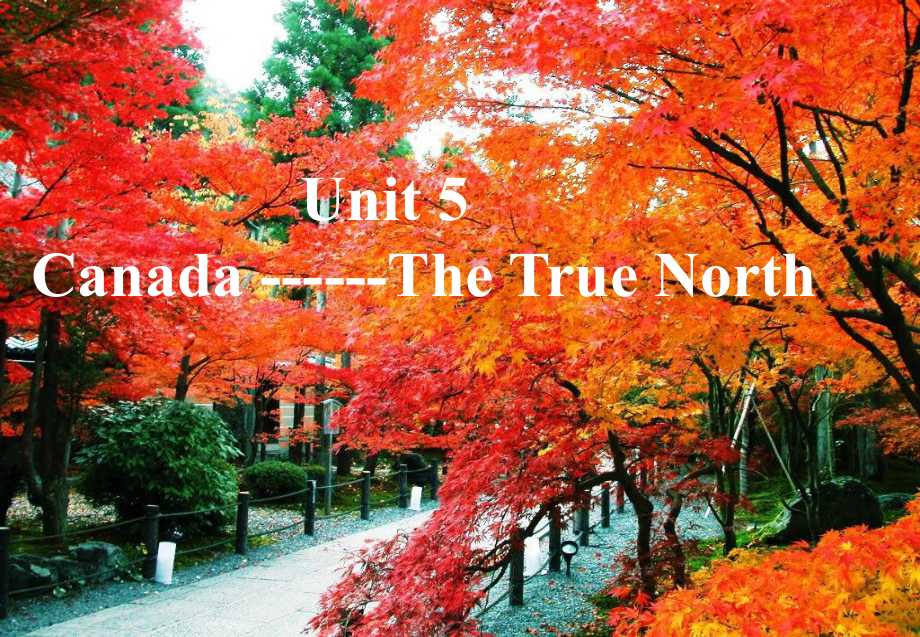 unit5ReadingⅠ“Thetruenorth”蔡_第1页