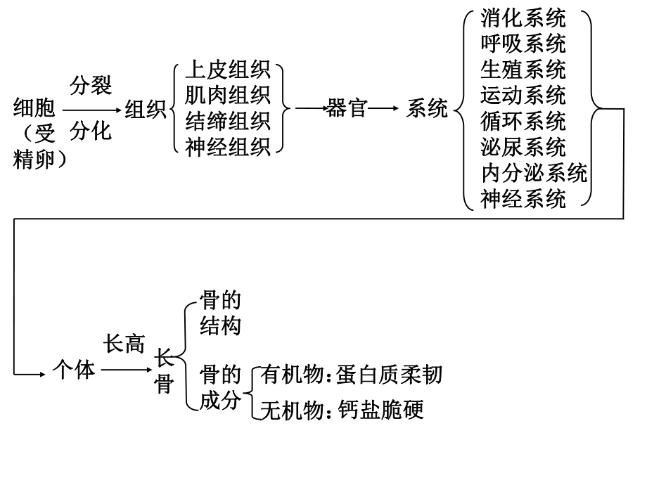 七年級下 (2)_第1頁