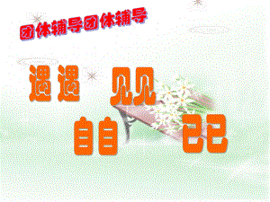 2021三年級上冊心理健康課件第二課 鏡子里的我遇見自己北師大版（13PPT）課件