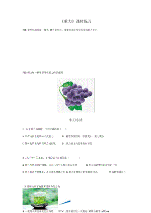 重力課時(shí)練習(xí)