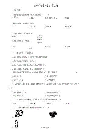 冀教版八上3.2.1《根的生長》練習(xí)