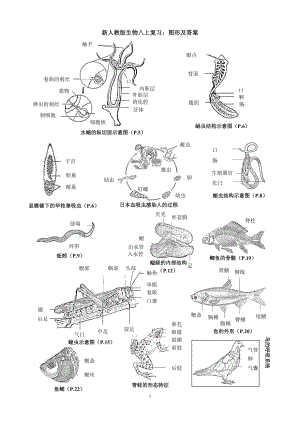 新人教版八上復(fù)習(xí)：圖形及答案