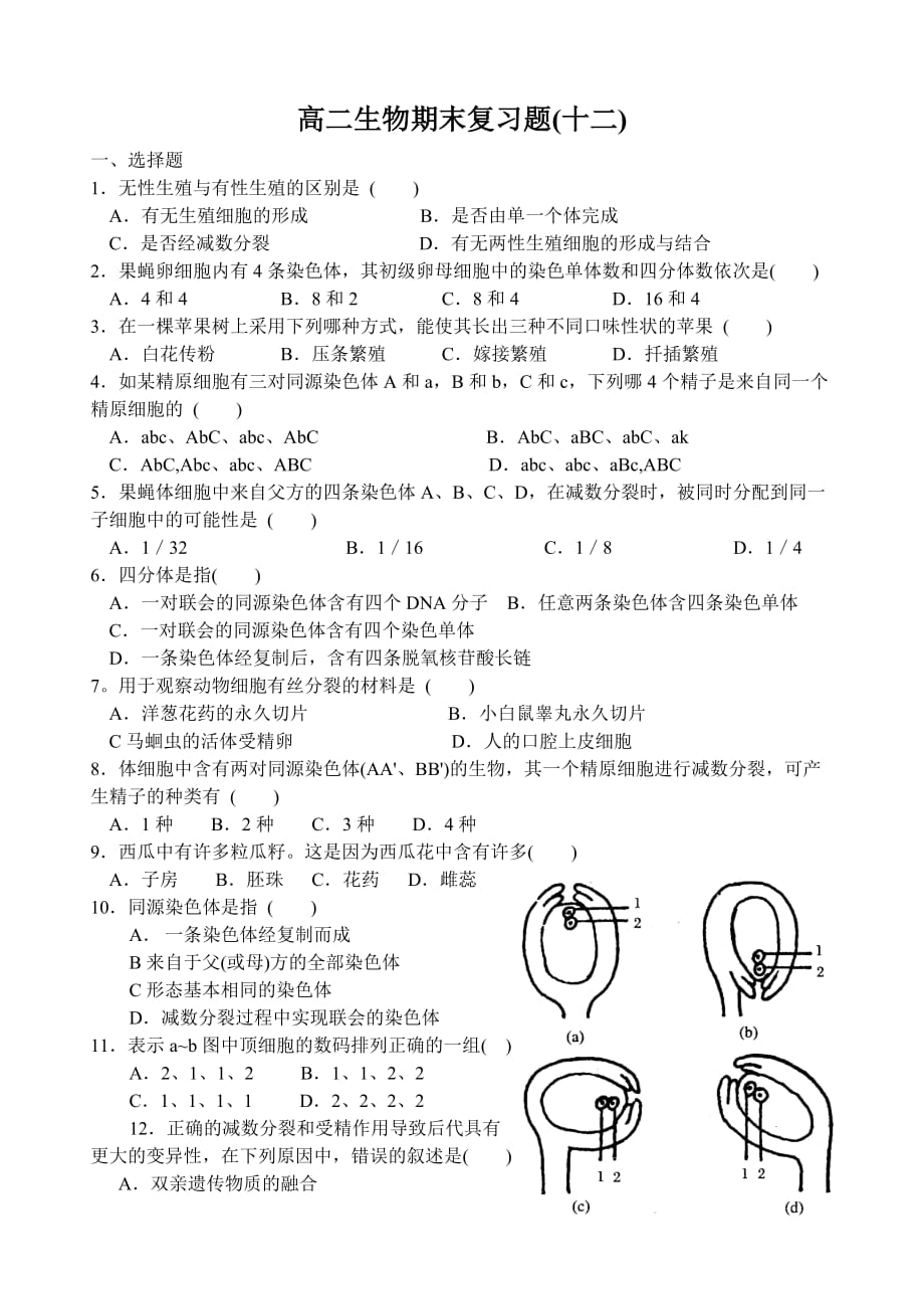 高二生物期末复习题(12)生物的生殖_第1页