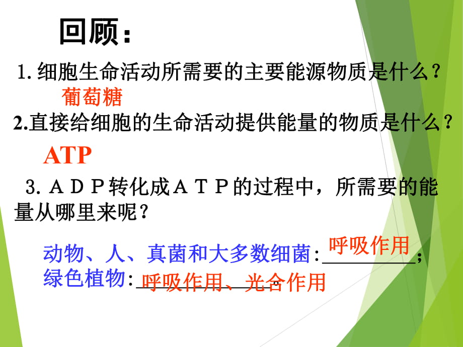 生物：53《ATP的主要來源——細(xì)胞呼吸》課件-新人教版必修1)_第1頁(yè)