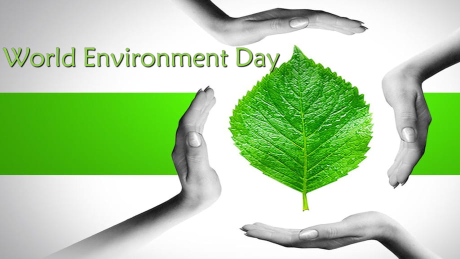 world environment day(环境保护)_第1页