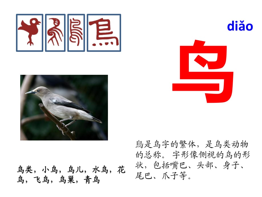 与“鸟”有关的汉字_第1页