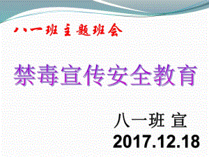 禁毒教育主題班會(huì)《禁毒宣傳》ppt課件03