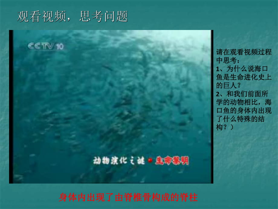 八年级上册生物-鱼类_第1页