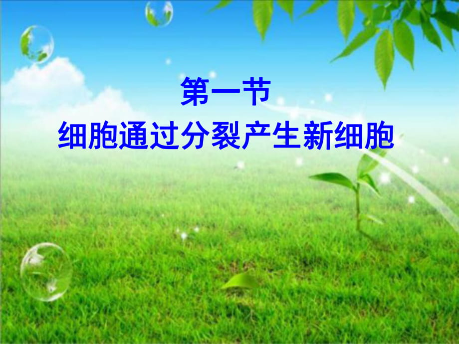 細(xì)胞通過分裂產(chǎn)生新細(xì)胞-ppt_第1頁