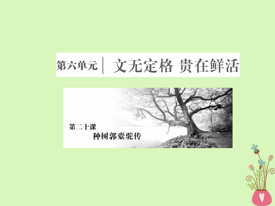 語文 第六單元 文無定格貴在鮮活 第二十課 種樹郭橐駝傳 新人教版選修《中國古代詩歌散文欣賞》_第1頁