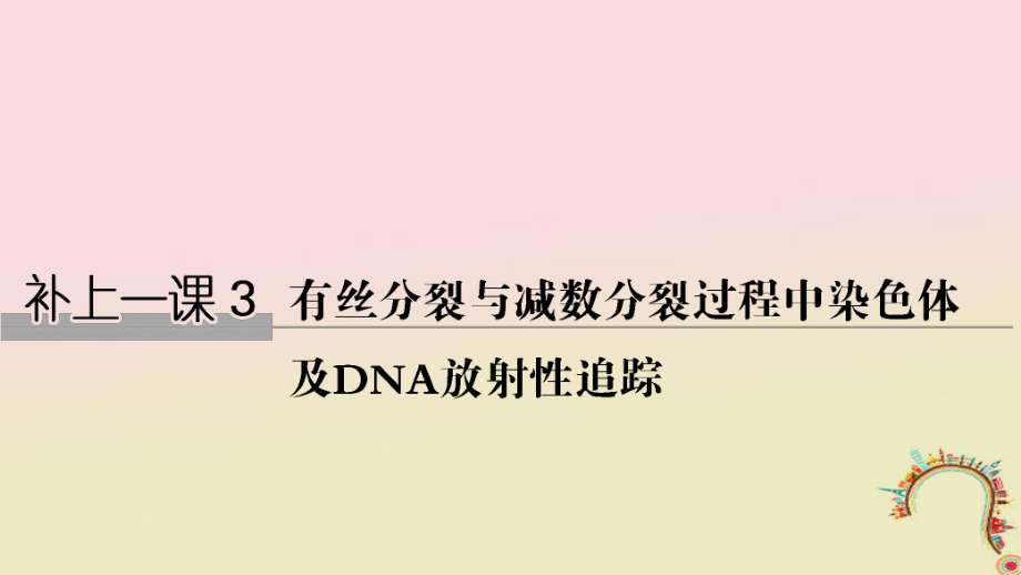 生物第四單元 細(xì)胞的能量供應(yīng)與利用 補(bǔ)上一課3 有絲分裂與減數(shù)分裂過(guò)程中染色體及DNA放射性追蹤創(chuàng)新備考 中圖版_第1頁(yè)