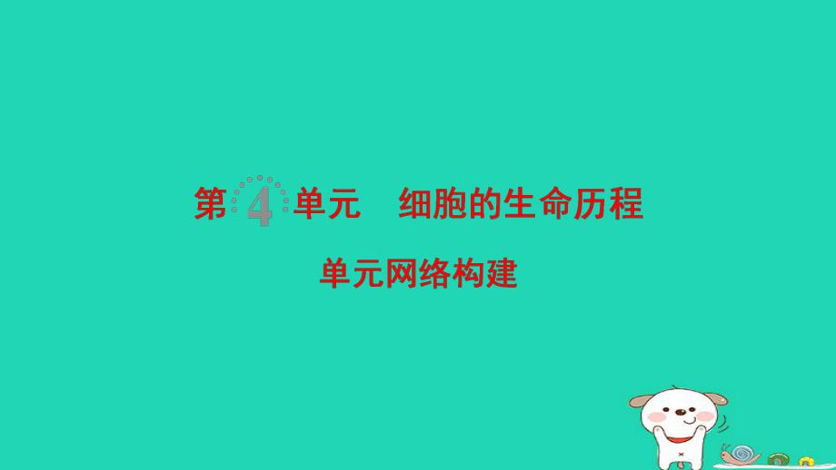 生物第4單元 細(xì)胞的生命歷程單元網(wǎng)絡(luò)構(gòu)建_第1頁