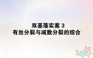 生物雙基落實(shí)案3 有絲分裂與減數(shù)分裂的綜合