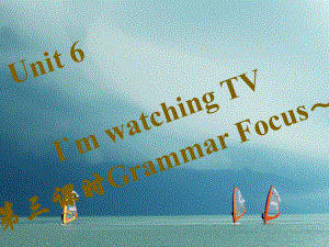 七年級英語下冊 Unit 6 I’m watching TV（第3課時）Grammar Focus-3c習(xí)題 （新版）人教新目標(biāo)版